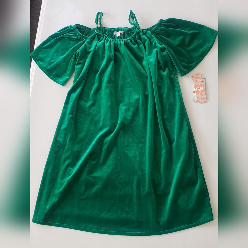 Gianni Bini, Size Small, Green Velvet Dress, NWT